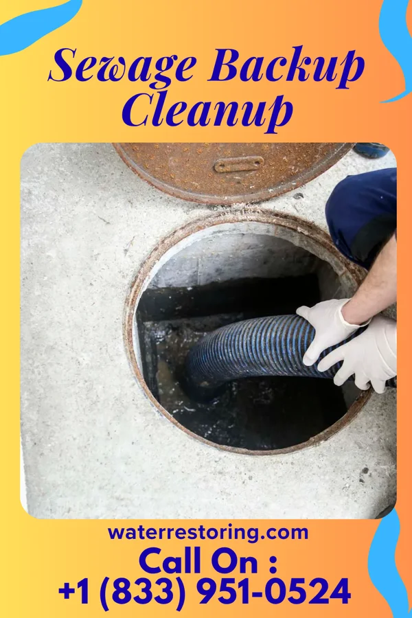 Sewage Backup Cleanup in Richland, SD